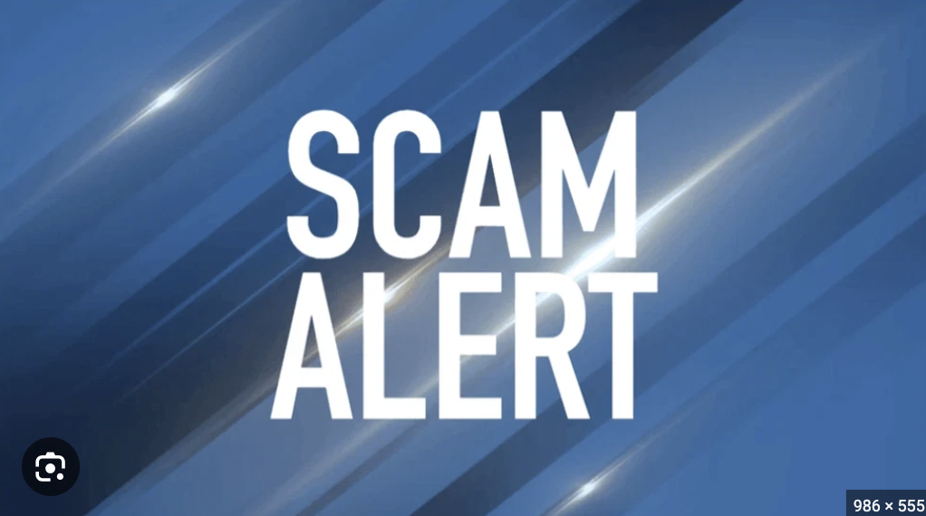 Bitcoin25.io Scam Review